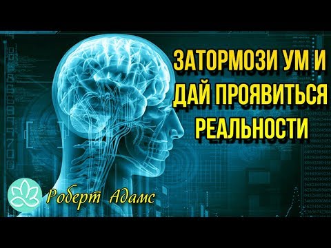 Видео: 🍀Роберт Адамс~Затормози ум и дай проявиться реальности!