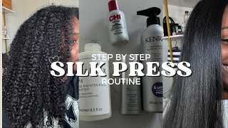 2024 DIY salon perfect silk press! black girl #olaplex briogeo, kenra, tools & more