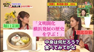 お江戸に恋して【文明開化～横浜発展の歴史～(2021/6/5 OA)】