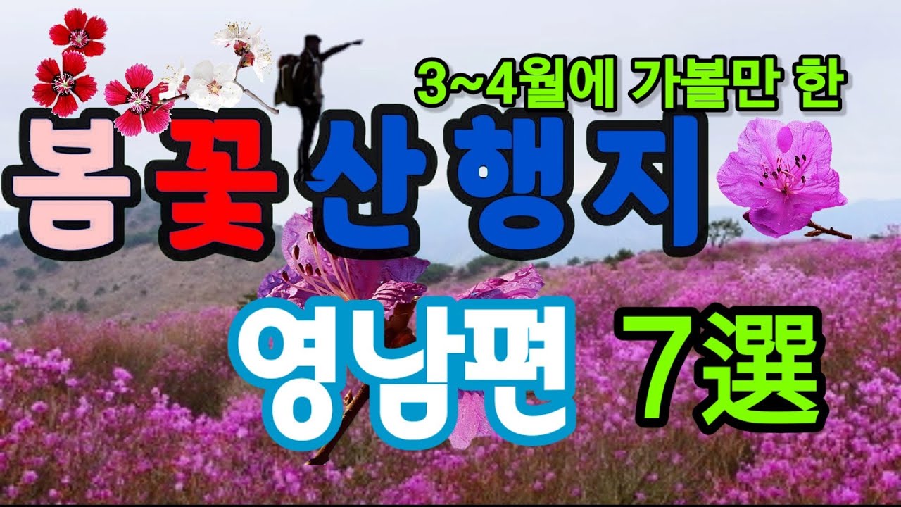 2021년 3월, 4월 진달래, 철쭉 시기에 따른 가보면 좋을 산 영남권 7선