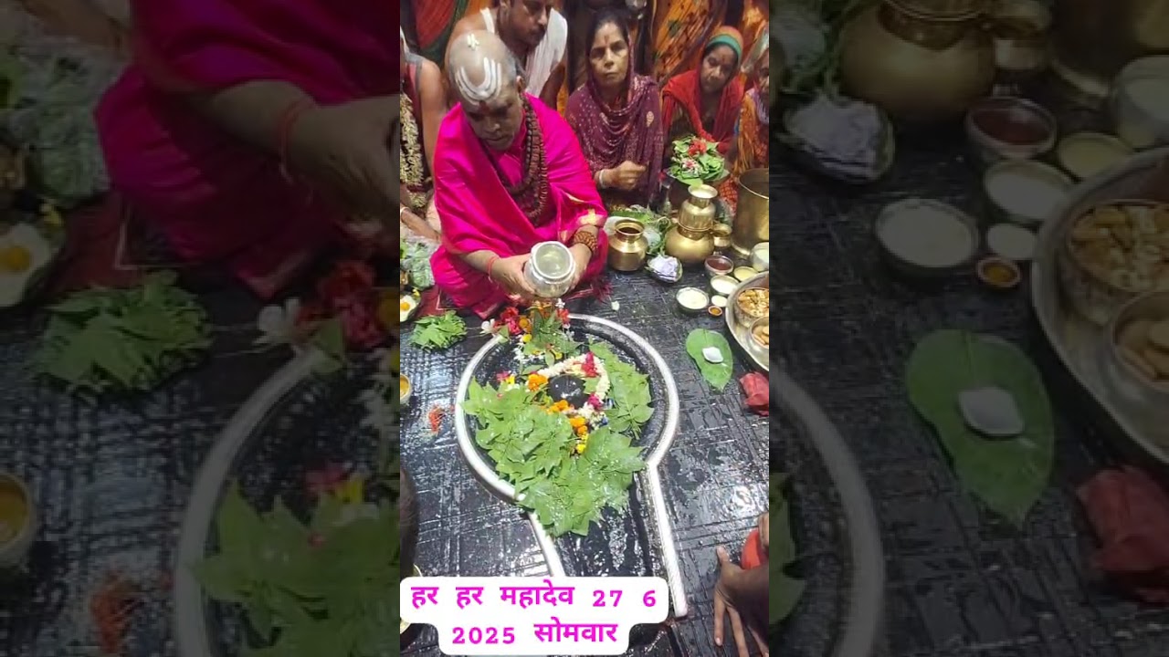 Baba Baidyanath ji ka jal rudra Abhishek 