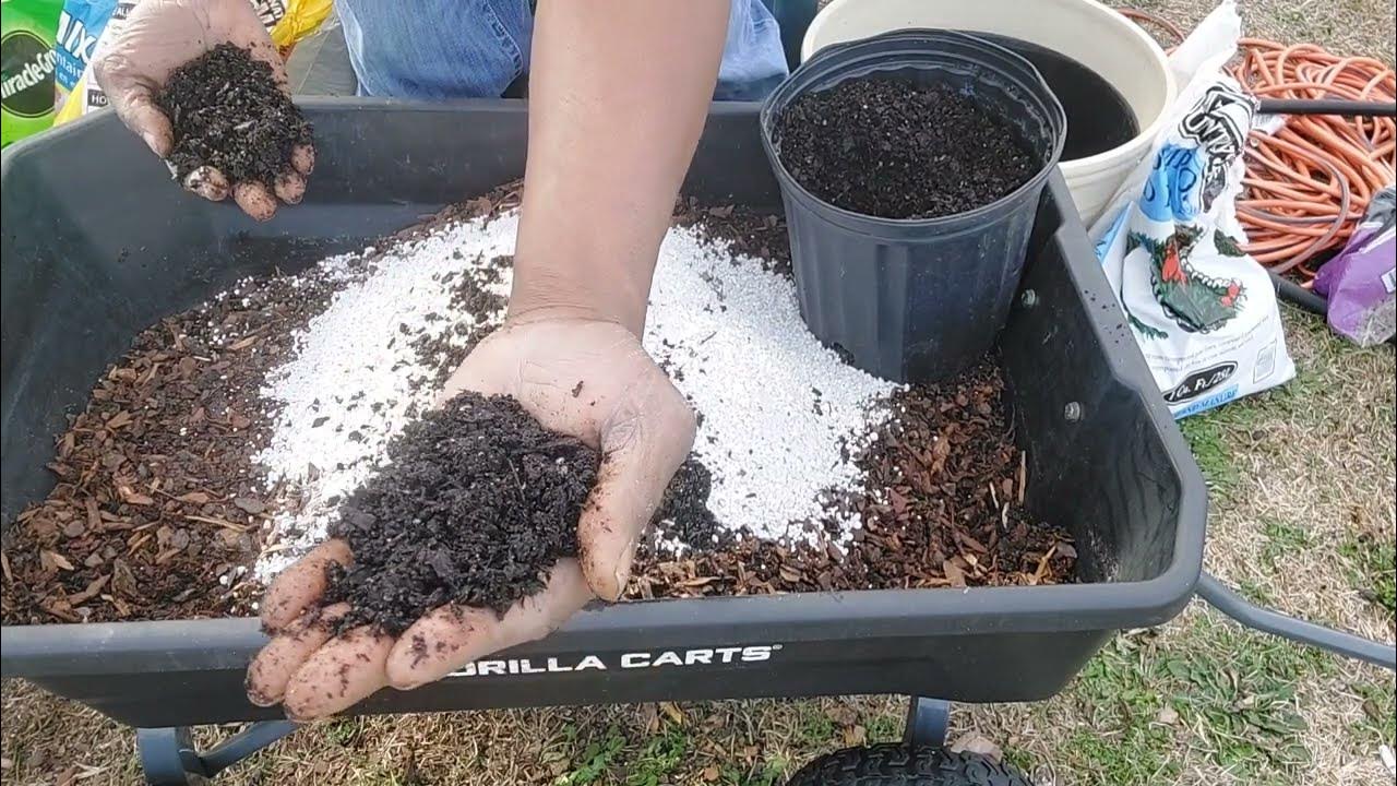 How To Make 511 Citrus Potting Soil (Recipe)Best Citrus Soil Mix! YouTube