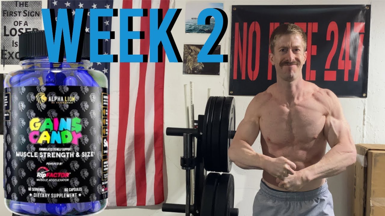 Cyber Monday 2020 Sale All Gains ½ Price Alpha Lion Gains Candy