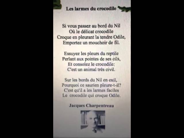 Les Larmes Du Crocodile Ce2 St Pierre Youtube Les Larmes Du Crocodile Ce2 St Pierre Youtube