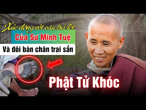 So moved by the answers and the tough feet of Master Minh Tue when he was in Vietnam