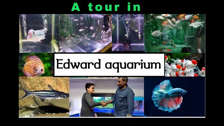 A tour in Edward aquarium salem. 42 years old aqua...