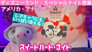 アナハイム☆ディズニーランド『スイートハート・ナイト💖』 パーク