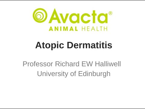 Video: Canine Atopic Dermatitis Årsager, Symptomer Og Behandlinger