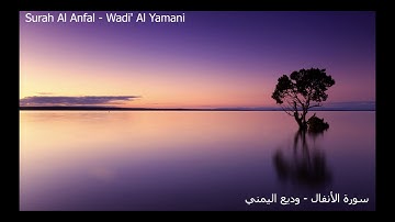 سورة الأنفال - وديع اليمني - Surah Al Anfal - Wadi' Al Yamani