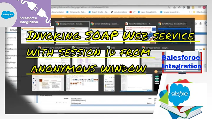 17  Invoke SOAP Web service with session id from anonymous window