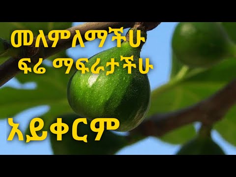 ቪዲዮ: የውስጥ ማሰሪያ በትር ሲሰበር ምን ይሆናል?