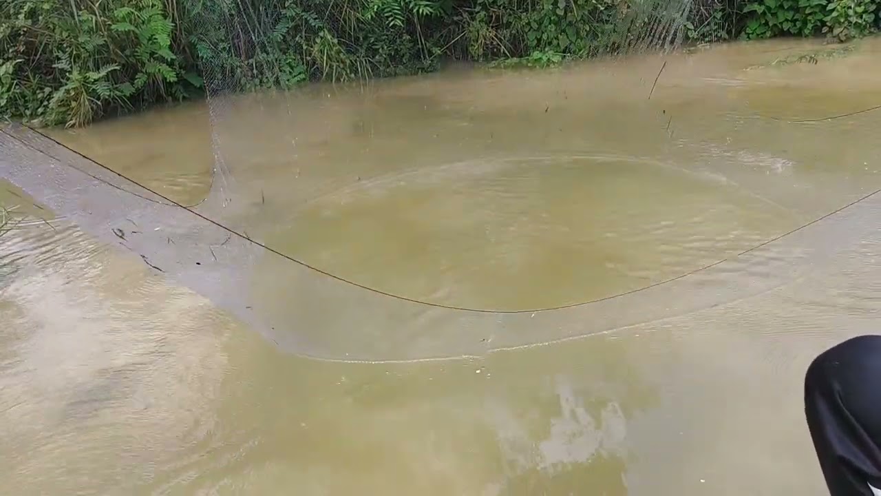 @ยกยอ#รอบสองเต้นอย่างข้าวตอกจ้าว😅#By..จ้าวป้า.Ep..413..13/มิ.ย/67