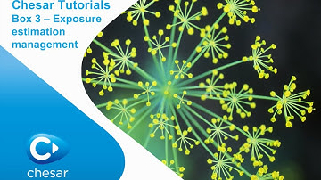 4. Chesar tutorial. Chesar Box 3 – Exposure estimation management