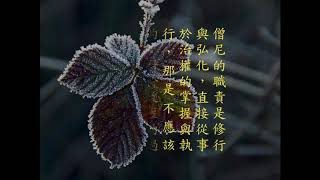 聲聞法語(45-46) 佛教徒的國家觀念與軍政工作？[粵語]