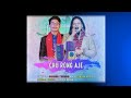 Chu Rong AjeBinong Timung And Robina kropi. Mp3 Song