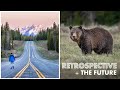 Retrospective: 3 Months in Yellowstone + Plans for the Future