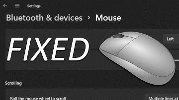 Bluetooth Mouse Keeps Disconnecting in Windows 11 EASY FIX