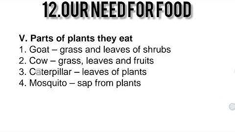EVS STD 3|12. Our Need For Food