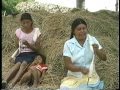 Mujeres del Valle del Mezquital   dir Salvador Morelos Ochoa SD