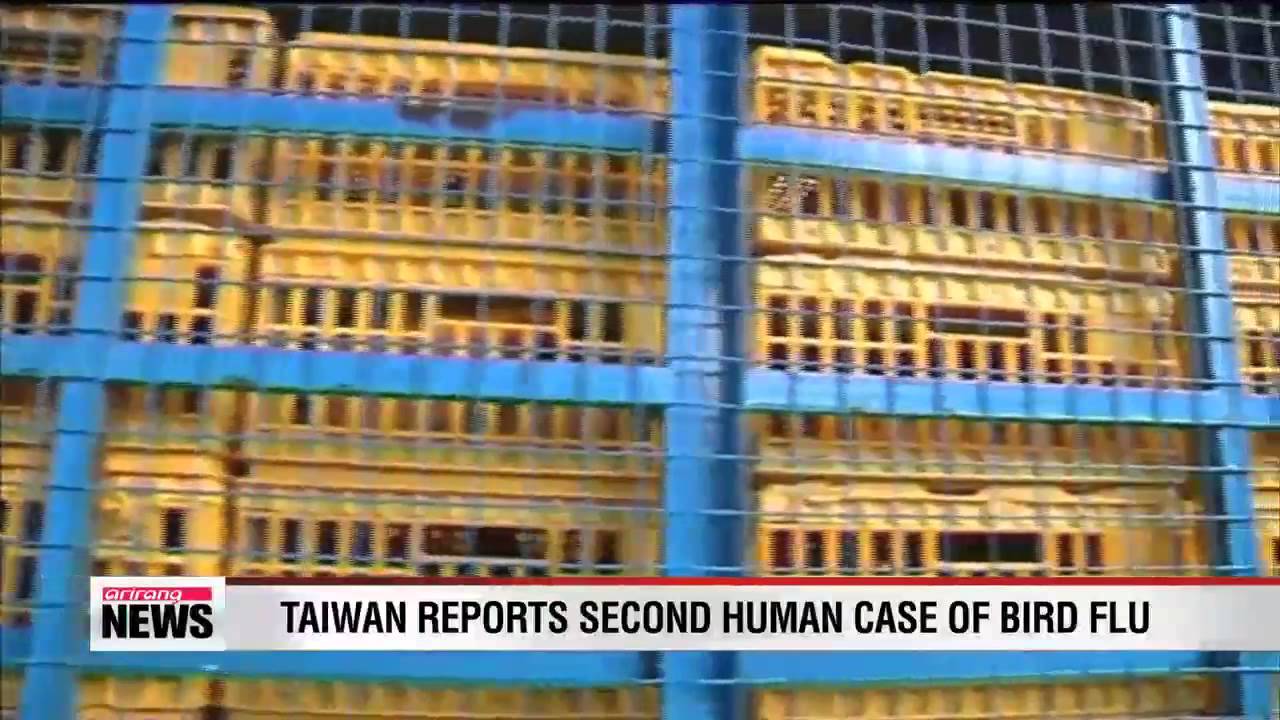 Taiwan reports second human case of H7N9 avian influenza
