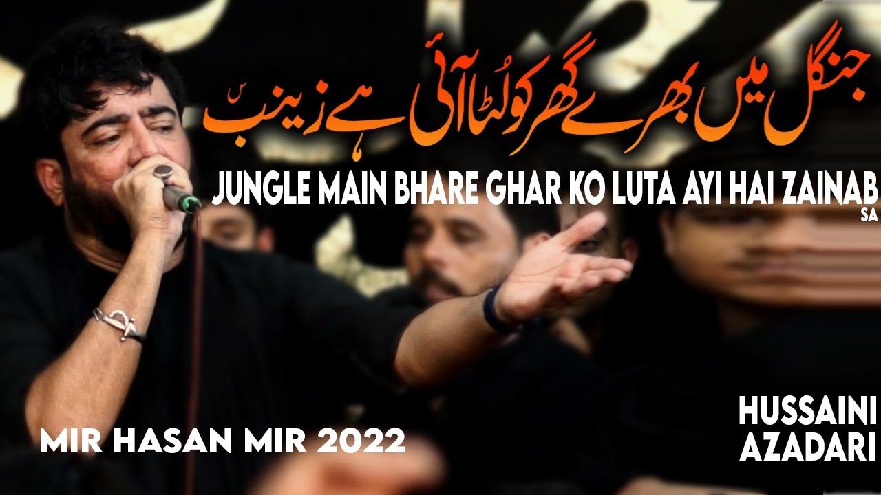 Jangal main bhare ghar ko luta ayi hai zainab  Mir hassan mir noha 2022