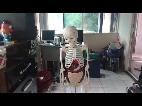 Minha coleção do