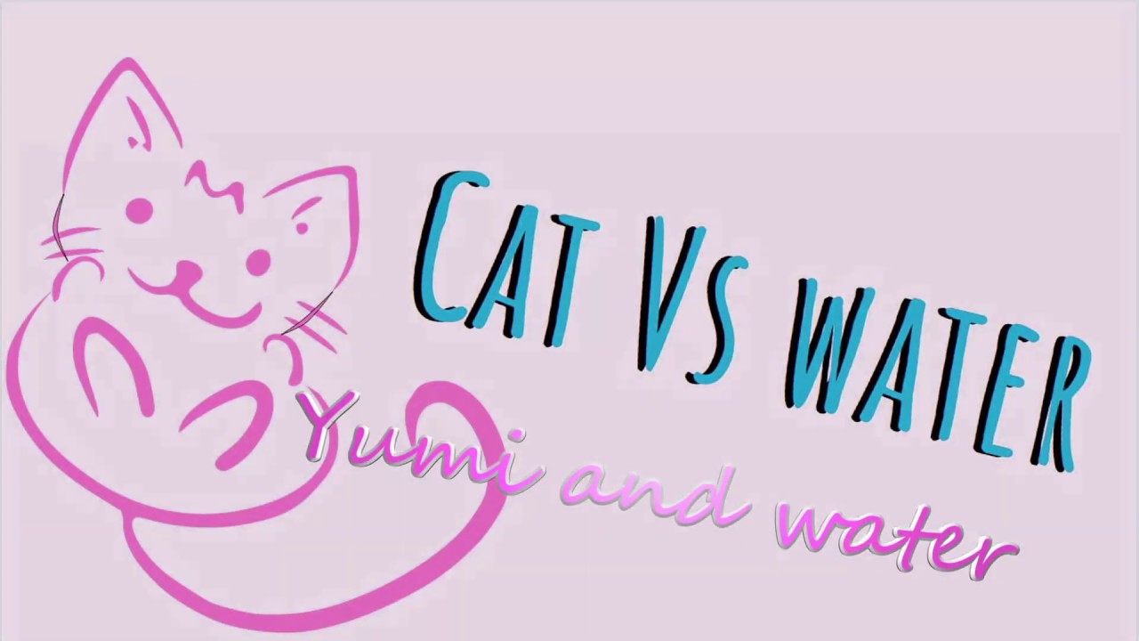 Yumi vs water 2020 are cats scared of water myth or truth youtube