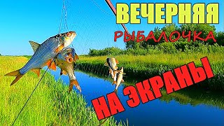 ВЕЧЕРНЯЯ РЫБАЛКА НА ЭКРАНЫ!!! Наловил кучу рыбы.