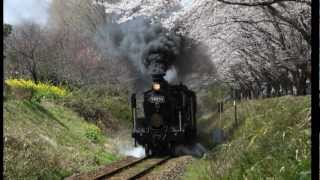 20120329 肥薩線 西人吉の桜とSL人吉