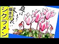 シクラメンの花の描き方│ガーデニングの絵手紙スケッチ│秋・冬・春・10月・11月・12月・1月・2月・3月