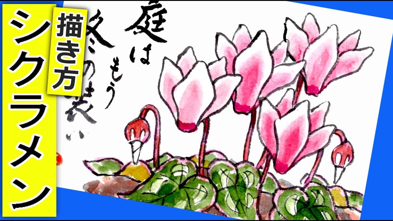 菊の花の描き方 ガーデニングの絵手紙スケッチ 9月 10月 11月 秋 ガーデンマム Youtube 菊の花の描き方 ガーデニングの絵手紙スケッチ 9月 10月 11月 秋 ガーデンマム Youtube