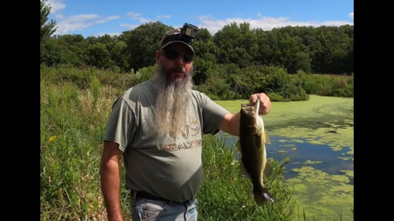 TOP WATER BASS FISHING!!! #largemouthbass #fishing