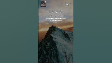 Surah Ad-Dhuha | سورة الضحى | Morning Sunlight