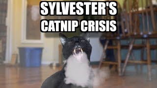 Talking Kitty Cat 61: Sylvester's Catnip Crisis
