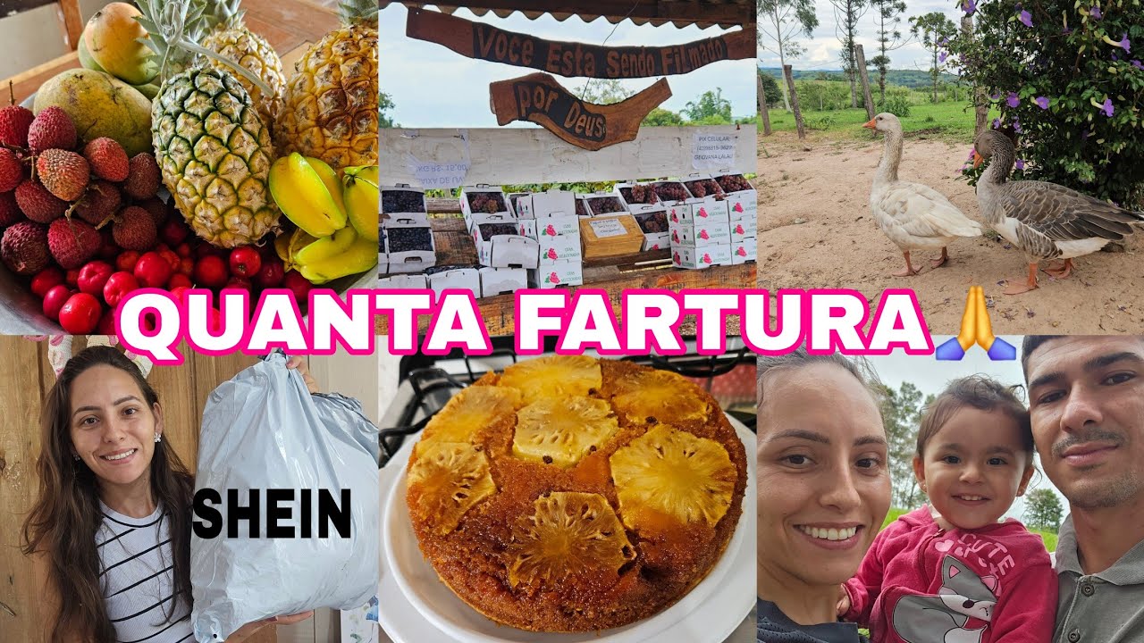  VOCÊ ESTÁ SENDO FILMADO POR DEUS🍇🍇🍇!COLHEITA FARTA NOSSO SÍTIO TORTA DE🍍ABACAXI/RECEBIDOSKIDS