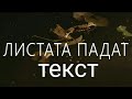 Mihaela Marinova feat. Pavell & Venci Venc' - listata padat / текст / text