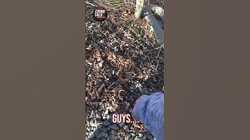 Full Bridge Guy Video Released – Delphi Murd3rs Case #DelphiMurders #BridgeGuyVideo #TrueCrime