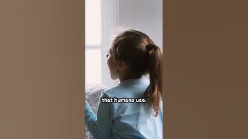 AI Chatbot Goes Insane - Part 1