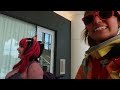 Beginning of video