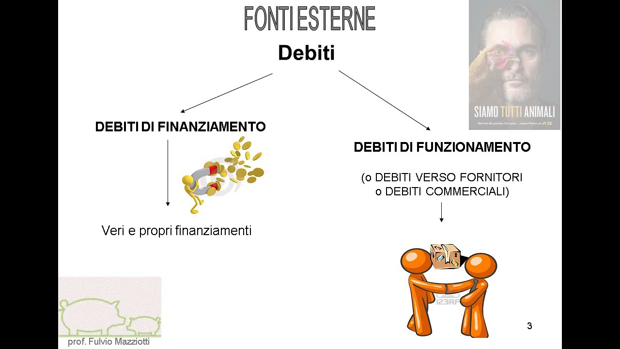 Capitale Proprio Da Cosa è Formato ECONOMIA AZIENDALE: Il Capitale proprio e il capitale di debito - YouTube