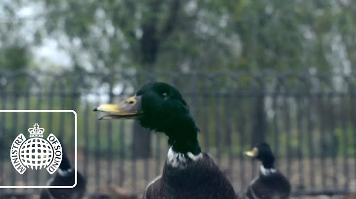 Rattle Cover version - Cover performance video thumbnail