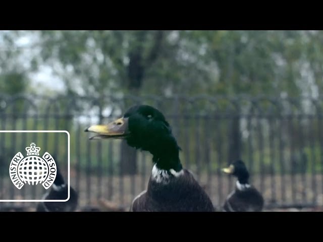 Bingo Players ft. Far East Movement - Get Up (Rattle) (Official Video) | Ministry of Sound class=