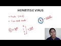 Hepatitis Viruses Overview || Microbiology || Part 1