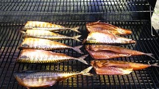 Скумбрия горячего копчения. (2 способа). Скумбрия горячего копчения. (2 способа).