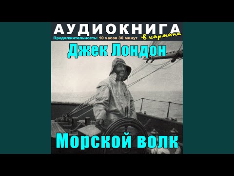 Аудиокнига в кармане, Максим Доронин - Глава 35, Чт. 1