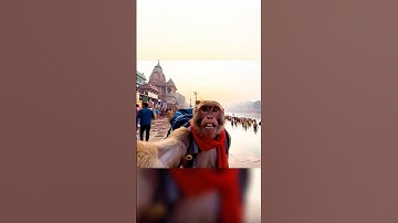 How To Create Viral Monkey Vlog | Text To Video Generator #ai