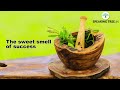 वास्तु सुझाव | 10 Feng Shui Tips to Boost Your Luck | Money | Home | Office | Career | job | Wealth