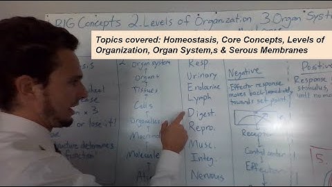 Homeostasis, Organ systems, & Anatomy/Physiology Overview (1)