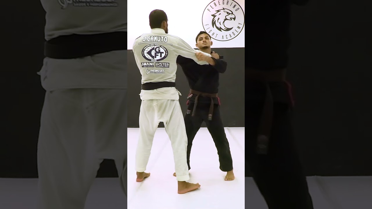 Невероятный прием &laquo;Летающий рычаг локтя&raquo; в стиле джиу-джитсу #bjj #jiujitsu#jiujitsumoves