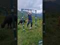 Garhwali young josh #garhwali #josh #rifle #excersise #love #rakesh